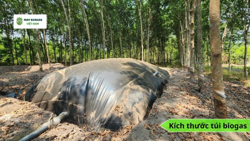 Chi phí làm túi biogas bằng bạt HDPE.jpg