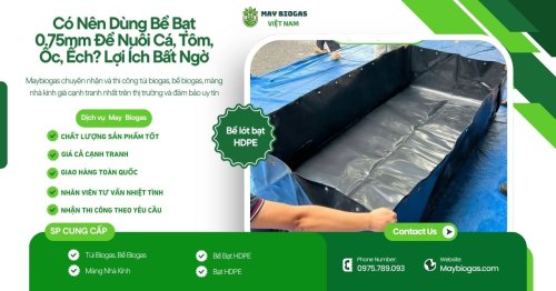 Mẹo Nuôi Ốc Nhồi Trong Bể Lót Bạt Cho Ngưới Mới Bắt Đầu (2).jpg