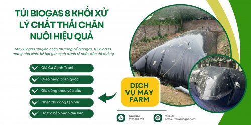 So Sánh Khay Ươm Cây Rau Giống Nhựa Và Xốp Loại Nào Tốt (1).jpg