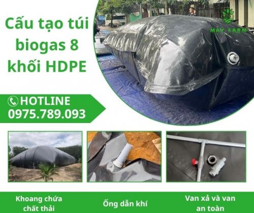 Thêm tiêu đề (1).jpg
