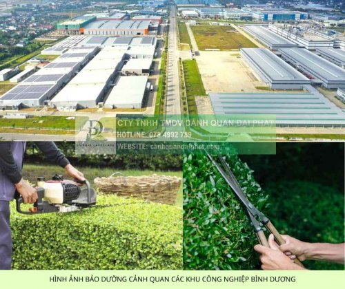 cham soc canh quan kcn vsip binh duong 1.jpg