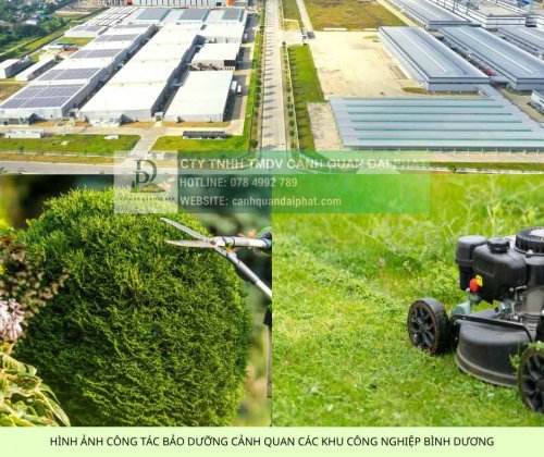 cham soc canh quan kcn vsip binh duong 2.jpg