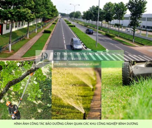 cham soc canh quan kcn vsip binh duong 3.jpg