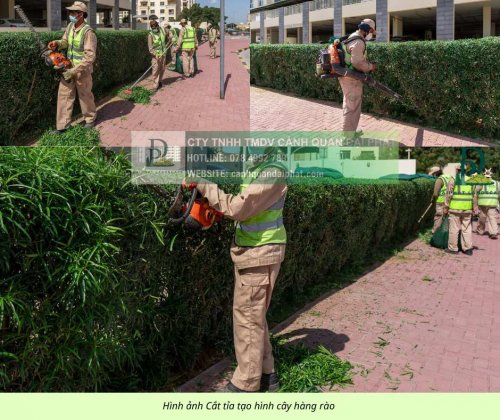 Bảo dưỡng cảnh quan Khu Công nghiệp Đồng Nai 7.jpg