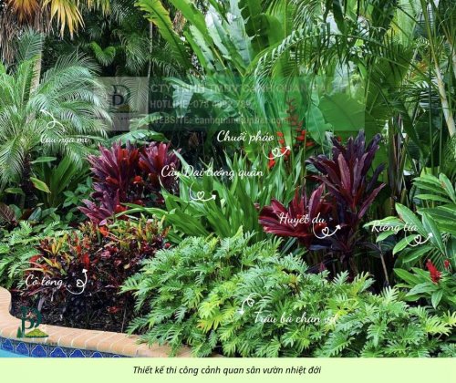 thiết kế thi công cảnh quan sân vườn 290126 3.jpg