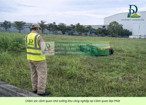 chăm sóc cảnh quan công ty nhà xưởng khu công nghiệp 090226 7.jpg