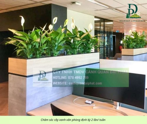 chăm sóc cắt tỉa cây xanh thảm cỏ công trình Đồng Nai  090326 1.jpg