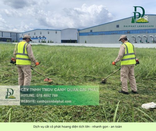 cắt cỏ diện tích lớn giá rẻ 19042026 2.jpg