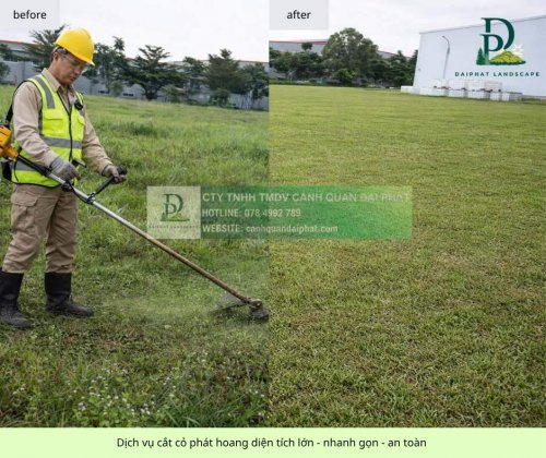 cắt cỏ diện tích lớn giá rẻ 19042026 3.jpg