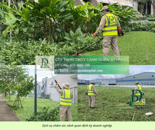 chăm sóc cảnh quan doanh nghiệp 200426 5.jpg