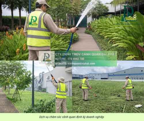 chăm sóc cảnh quan sân vườn cắt cỏ cắt tỉa 210426 2.jpg