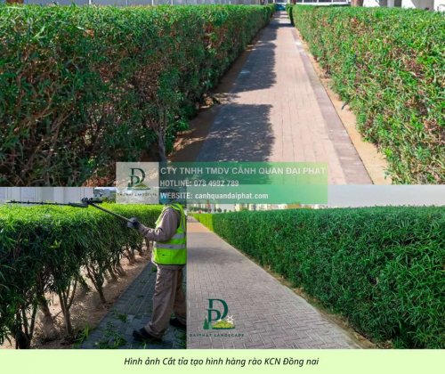 Bảo dưỡng cảnh quan Khu Công nghiệp Đồng Nai 3.jpg