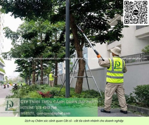 Dịch vụ cưa cây cắt cỏ doanh nghiệp đồng nai 050226 2.jpg