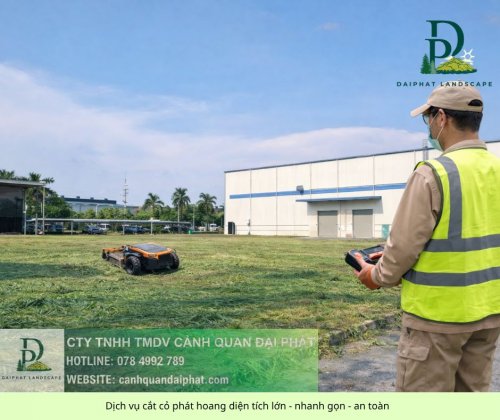 cắt cỏ diện tích lớn giá rẻ 19042026 1.jpg