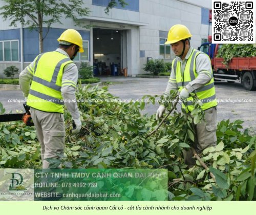 Dịch vụ cưa cây cắt cỏ doanh nghiệp đồng nai 050226 9.jpg