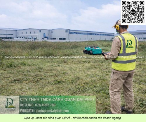 Dịch vụ cưa cây cắt cỏ doanh nghiệp đồng nai 050226 6.jpg