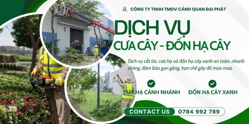 dịch vụ cưa cây cắt cỏ 070426 1.jpg